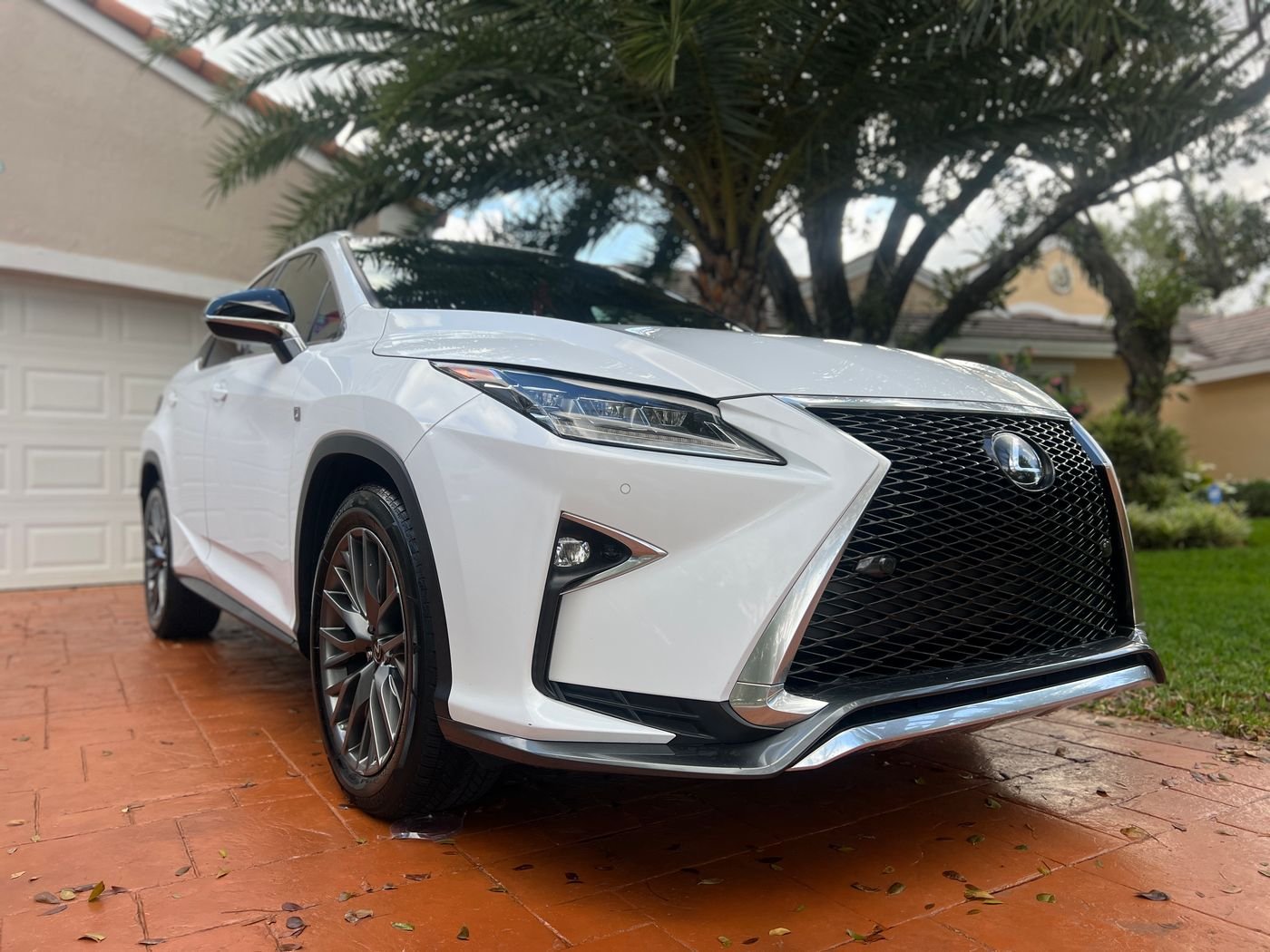 Paint correction and restoration